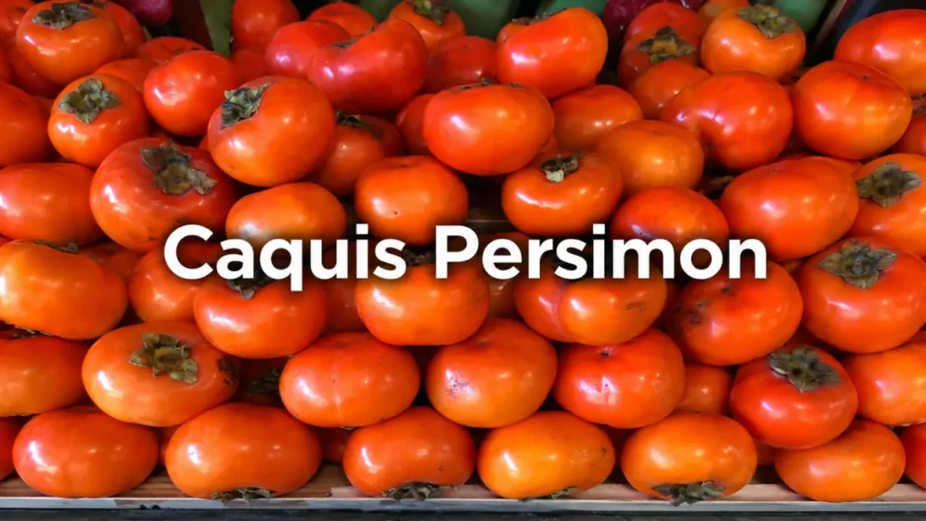 caquis persimon