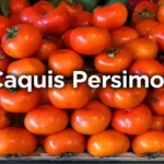 caquis persimon