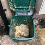 maggots wheelie bins hot weather