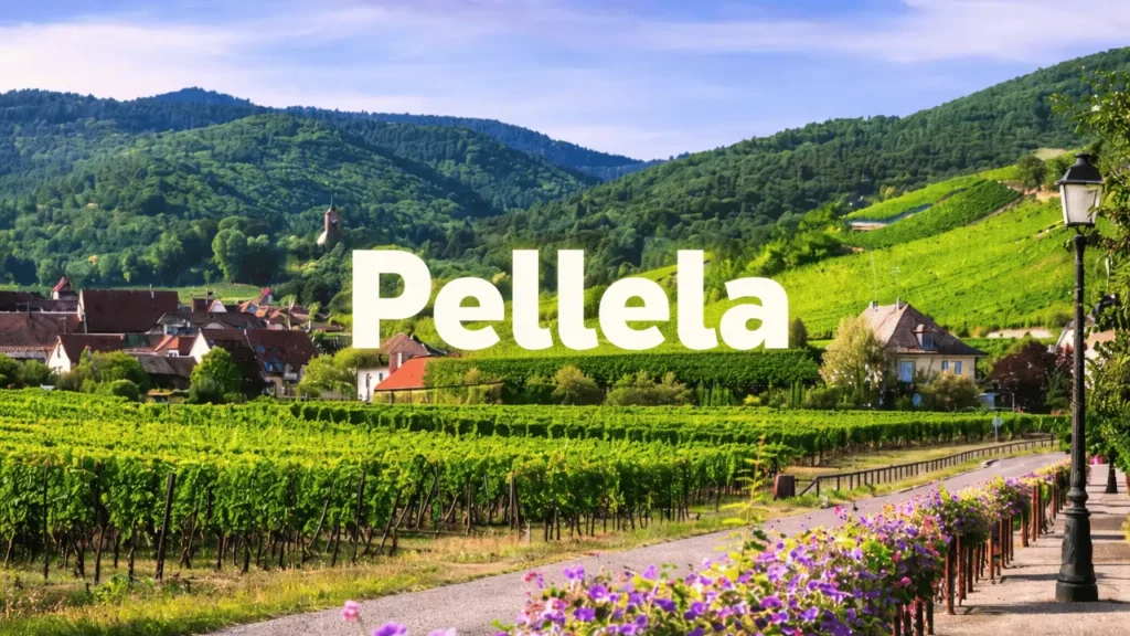pellela
