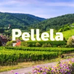 pellela
