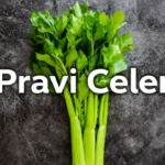 pravi celer